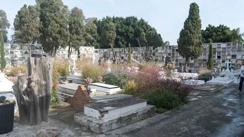 Familias y fieles rinden homenaje en el Cementerio Antiguo el 1 de noviembre_17