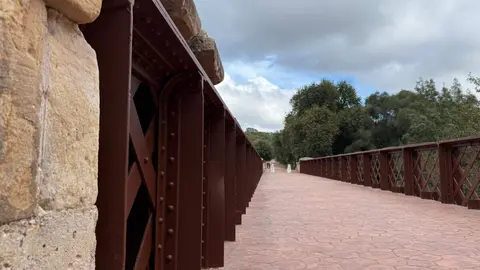 Puente de Hierro de Los Alcornocales.