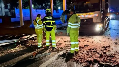 Bomberos retirando el &aacute;rbol ca&iacute;do