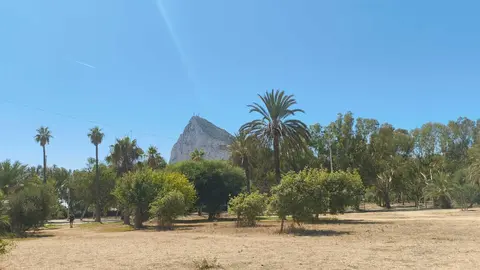 Entre los proyectos m&aacute;s destacados se encuentra la fase I de la rehabilitaci&oacute;n del Parque Princesa Sof&iacute;a, que contempla la creaci&oacute;n de lagunas naturales y recreativas, la plantaci&oacute;n de m&aacute;s de 3.000 especies vegetales y diversas medidas de transici&oacute;n ecol&oacute;gica. Su finalizaci&oacute;n est&aacute; prevista para marzo de 2026