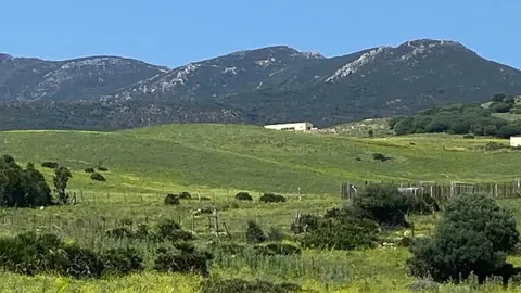 Vista de la zona de Las Pi&ntilde;as, en Tarifa, donde Ecologistas en Acci&oacute;n reclama la paralizaci&oacute;n del proyecto urban&iacute;stico anulado por sentencia judicial