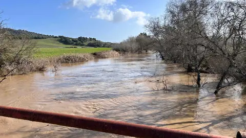 Esta iniciativa municipal se produce adem&aacute;s en un contexto de situaci&oacute;n meteorol&oacute;gica adversa en el municipio, con el Plan Local de Emergencias activado en fase de preemergencia