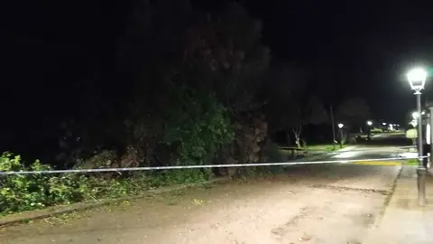 Consecuencias del temporal y de la actividad registrada durante el fin de semana en distintos puntos del Campo de Gibraltar.
