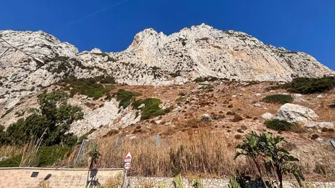 El Ejecutivo se&ntilde;ala que cualquier actuaci&oacute;n que da&ntilde;e o altere nidos activos puede suponer una infracci&oacute;n de la Ley de Protecci&oacute;n de la Naturaleza de 1991