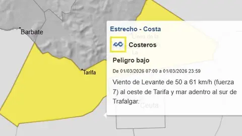 Captura de pantalla 2026-02-28 215208