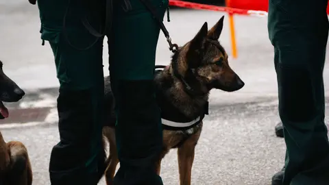 Toma de posesi&oacute;n del nuevo jefe de la Comandancia de la Guardia Civil de Algeciras_004