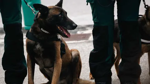 Toma de posesi&oacute;n del nuevo jefe de la Comandancia de la Guardia Civil de Algeciras_005