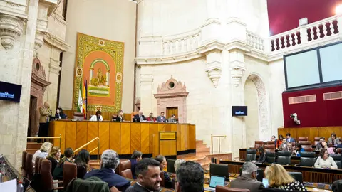 Vista general del Parlamento de Andaluc&iacute;a durante una sesi&oacute;n plenaria celebrada en Sevilla
