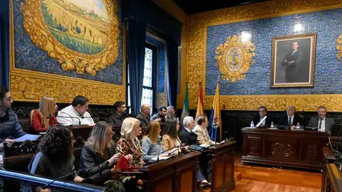 Imagen de la sesi&oacute;n plenaria celebrada en el Ayuntamiento de Algeciras.