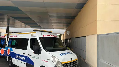 Desde la sala coordinadora del 1-1-2, organismo dependiente de la Junta de Andaluc&iacute;a
, se activ&oacute; al Centro de Emergencias Sanitarias 061, as&iacute; como a efectivos de la Guardia Civil
, Polic&iacute;a Local, Bomberos
 y otros organismos como la Inspecci&oacute;n de Trabajo y el Centro Provincial de Riesgos Laborales.