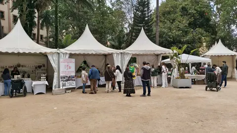 Puestos de artesan&iacute;a instalados en el Parque Mar&iacute;a Cristina durante la jornada solidaria - FOTO: FJ Ben&iacute;tez