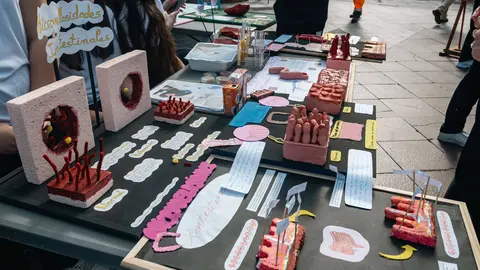 EXPOEDUCA31_FOTO - FJ Ben&iacute;tez