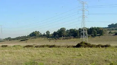 Vista general del entorno afectado por el desarrollo urban&iacute;stico de San Bernab&eacute;