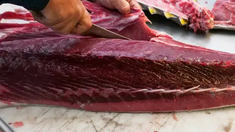 Imagen de una pieza de at&uacute;n rojo durante un ronqueo tradicional previo a su elaboraci&oacute;n gastron&oacute;mica