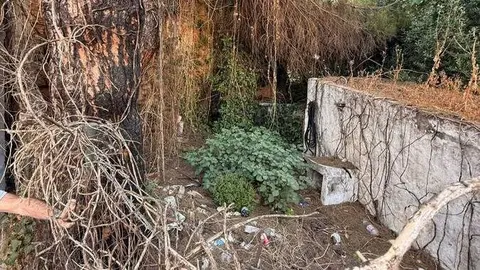 Estado de abandono denunciado por los vecinos en el callej&oacute;n de la calle Sindicalista Luis Cobos