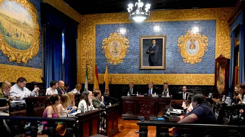 Imagen de la sesi&oacute;n plenaria celebrada en el Ayuntamiento de Algeciras