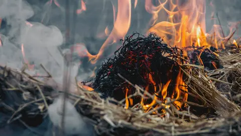 Imagen de archivo de una quema agr&iacute;cola con fuego activo en una zona de vegetaci&oacute;n seca.