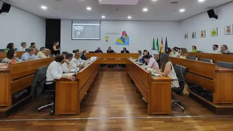 Imagen del pleno de la Junta de Comarca celebrado en la sede de la Mancomunidad