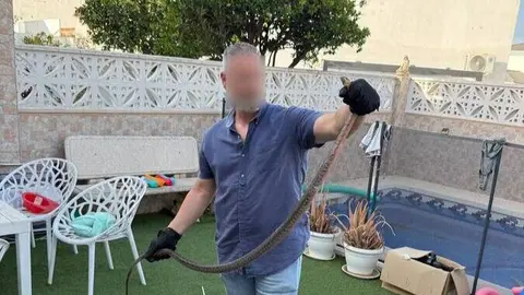 La serpiente capturada por los agentes antes de ser trasladada a una zona segura para su liberaci&oacute;n