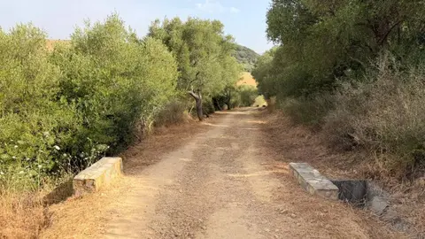 Trabajos de limpieza y desbroce en senderos naturales de Los Barrios