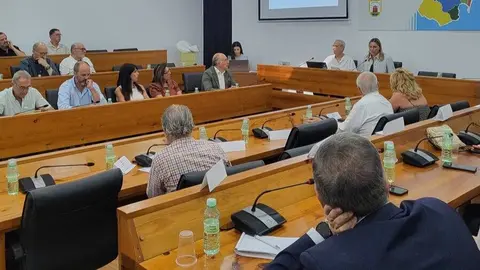 Representantes institucionales y agentes sociales durante la reuni&oacute;n del Consejo Econ&oacute;mico y Social del Campo de Gibraltar