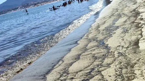 Restos de fuel marino detectados en la orilla de la playa de Palmones