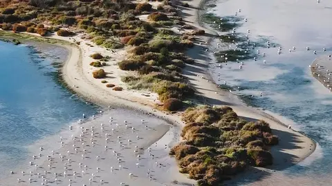 Imagen promocional del audiovisual "Campo de Gibraltar: Infinito", reconocido en los US International Awards