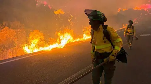 Efectivos de la UME y del Plan INFOCA contin&uacute;an trabajando en la zona afectada por el incendio de Los Gallardos