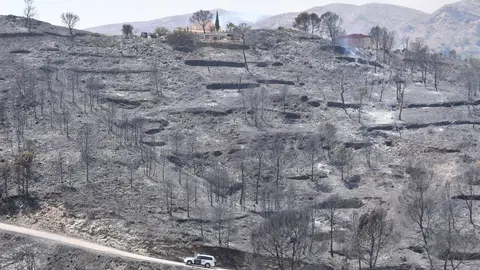 Zona afectada por el incendio forestal de Los Gallardos tras la estabilizaci&oacute;n del fuego