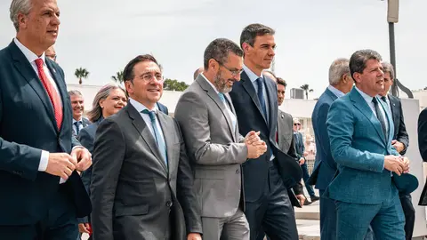 Juan Carlos Ruiz Boix participa en el acto institucional celebrado con motivo del derribo de la hist&oacute;rica Verja - FOTO: FJ Ben&iacute;tez