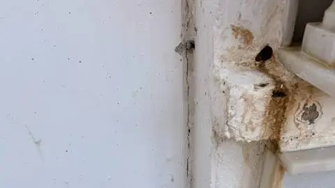 Estado de la zona afectada por las filtraciones en el Cementerio Municipal de Botafuegos