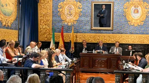 Un momento de la celebraci&oacute;n de la sesi&oacute;n plenaria ordinaria del Ayuntamiento de Algeciras