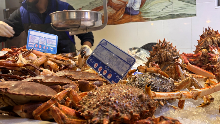 Pescados y mariscos 8