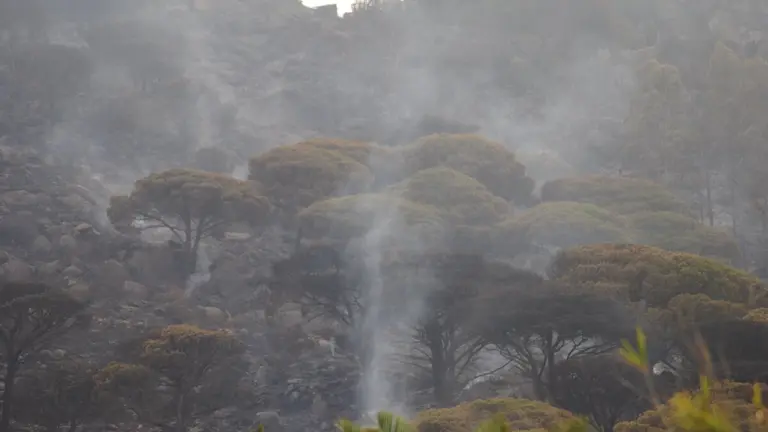 Incendio de Tarifa 4