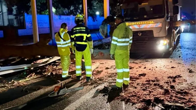 Bomberos retirando el &aacute;rbol ca&iacute;do