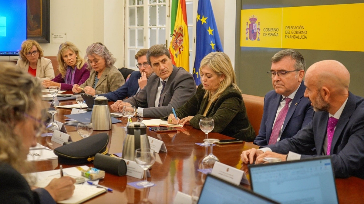 El delegado del Gobierno en Andalucía, Pedro Fernández(en el centro), ha presidido la reunión en Sevilla