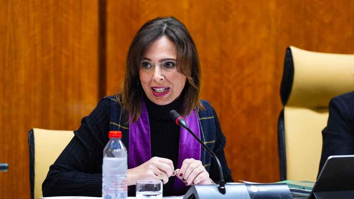 La consejera Rocío Díaz, en una comparecencia en el Parlamento Andaluz