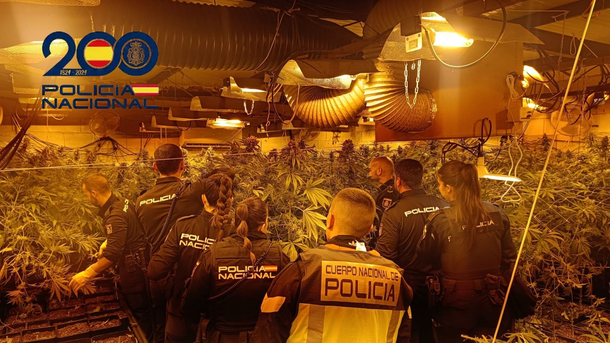 Agentes de la Policía Nacional, tras entrar en la plantación, ubicada en el Zabal