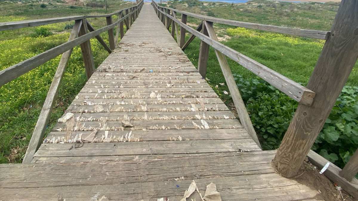 Toallitas en pleno paseo que conduce a la arena de Los Lances