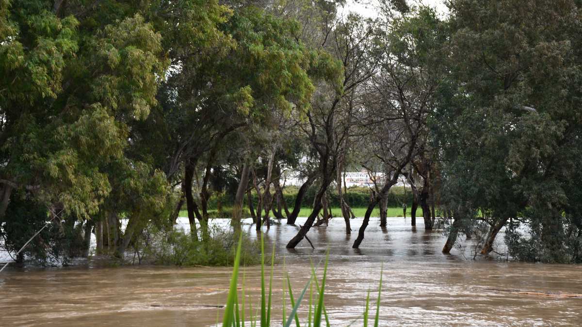 El río Guadiaro y su notable crecida en las últimas horas