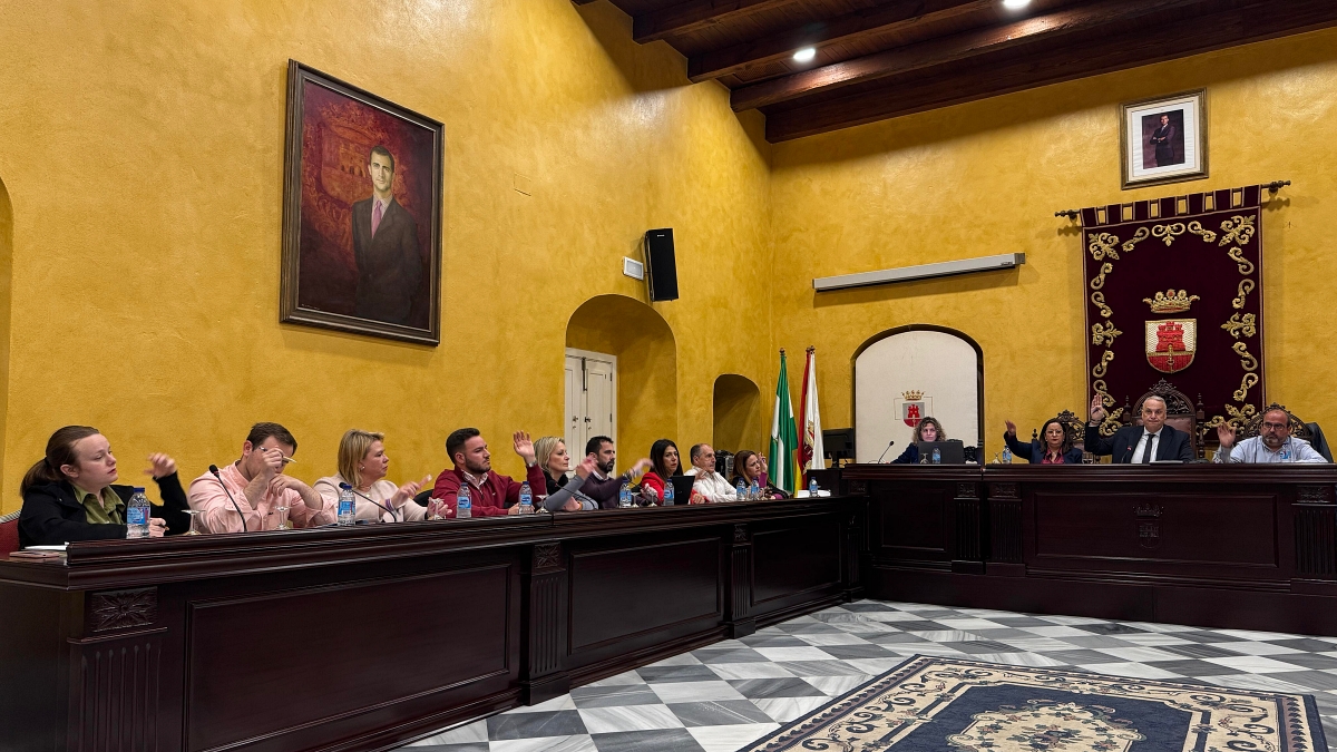 Una de las votaciones efectuadas en el transcurso del pleno de este jueves