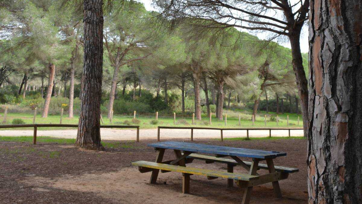 Pinar del rey, en San Roque